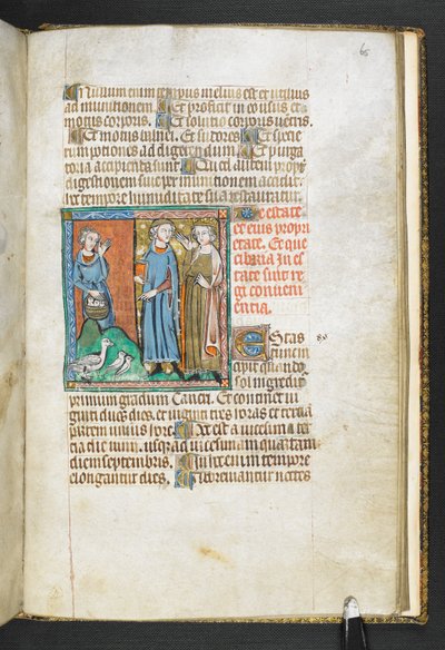 Aristoteles zeigt auf Vögel, die dem König gebracht werden, aus Secretum Secretorum, ca. 1326-27 von English School