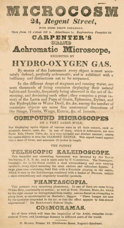 Werbung für die Microcosm-Ausstellung in der Regent Street 24, London von English School