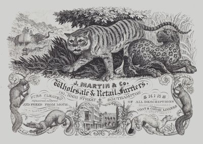 Werbung für J Martin & Co, Groß- und Einzelhändler für Pelze, Southampton, Hampshire von English School