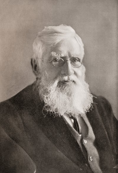 Alfred Russel Wallace, aus 