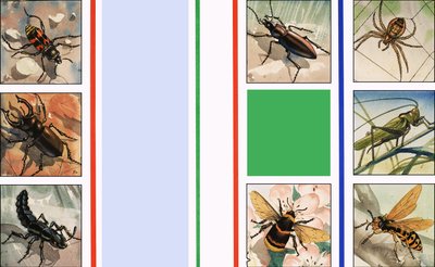 Alle Arten von Insekten von English School