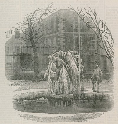 Ein Eiskristallbaum im Middle Temple von English School