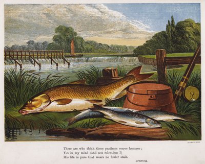 Fang eines Anglers am Flussufer von English School