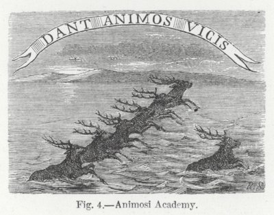 Animosi Akademie (Gravur) von English School