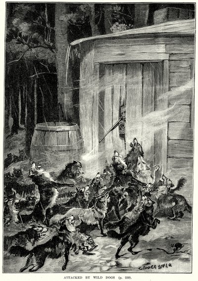 Von wilden Hunden angegriffen (Gravur) von English School