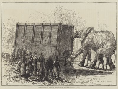 Versuch, Jumbo, den großen Elefanten, aus dem Zoologischen Garten zu entfernen (Lithographie) von English School