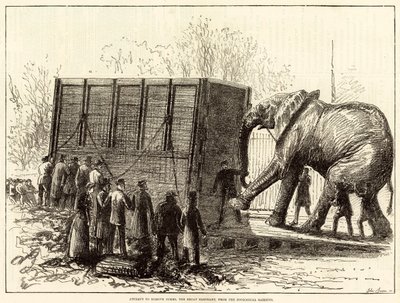 Versuch, Jumbo, den großen Elefanten, aus dem Zoologischen Garten zu entfernen von English School