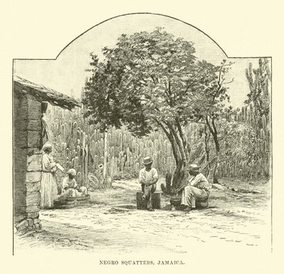 Schwarze Squatter, Jamaika von English School