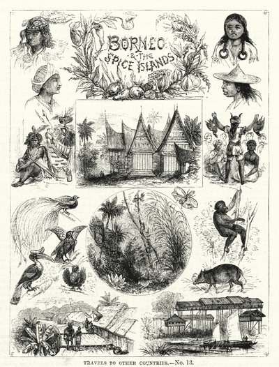 Borneo und die Gewürzinseln von English School