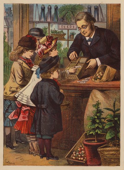 Der Kauf der Samen von English School