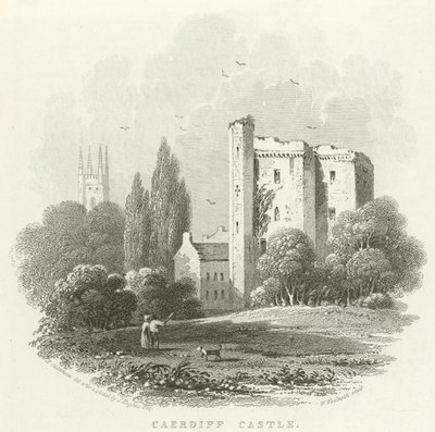 Caerdiff Schloss (Stich) von English School