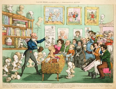 Kalbsköpfe und Gehirne; oder eine phrenologische Vorlesung, 1826 von English School