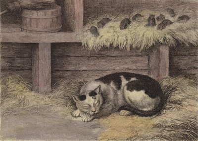 Katze und Mäuse in einer Scheune (getönter Stich) von English School