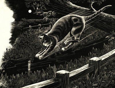 Katze springt von einem Ast von English School