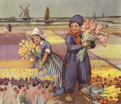 Kinder pflücken Tulpen in Holland von English School