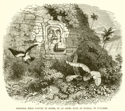 Kolossaler Kopf in Stein gemeißelt, in einer aztekischen Ruine in Izamal, Yucatan von English School