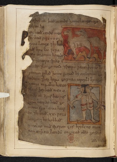 Beowulf, aus dem 