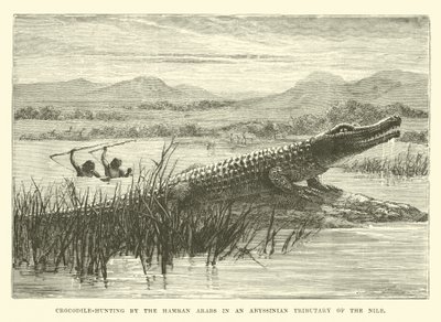 Krokodiljagd durch die Hamran-Araber in einem abessinischen Nebenfluss des Nils von English School