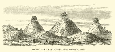 Dänische Hügelgräber bei Ashdown, Essex von English School