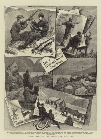 Hirschjagd und Treibjagd in Schottland von English School
