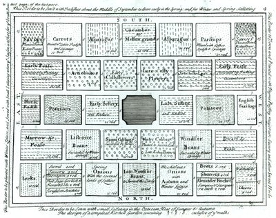 Entwurf für einen fertigen Küchengarten, aus Neue Prinzipien der Gartenkunst, von Betty Langley, 1726 von English School