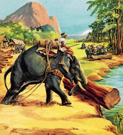 Elefant. Illustration aus 