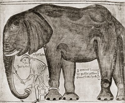 Elefant, gesandt von St. Louis an Heinrich III., aus 