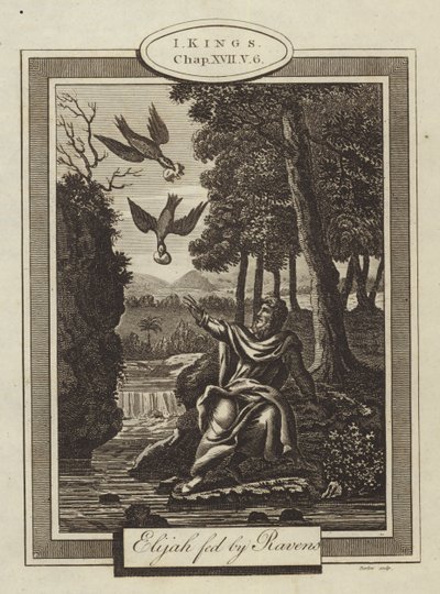 Elia von Raben gefüttert, 1. Könige, Kapitel XVII, Vers 6 von English School