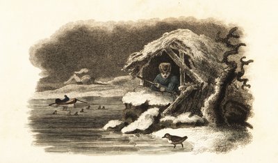 Europäischer Wasseramsel geht in den See Nantua, Frankreich, und bleibt untergetaucht auf dem Grund des Sees in einer Luftblase von English School