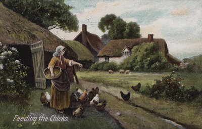 Die Küken füttern von English School