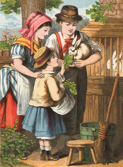Das Kaninchen füttern von English School
