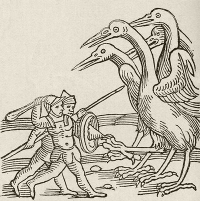 Kampf zwischen Pygmäen und Kranichen. Eine Geschichte aus der griechischen Mythologie. Aus The Strand Magazine, veröffentlicht 1897. von English School
