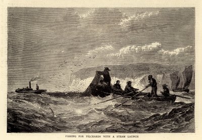 Fischen nach Sardinen mit einem Dampfschiff (Gravur) von English School