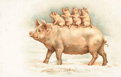 Vier Ferkel reiten auf dem Rücken ihrer Mutter von English School