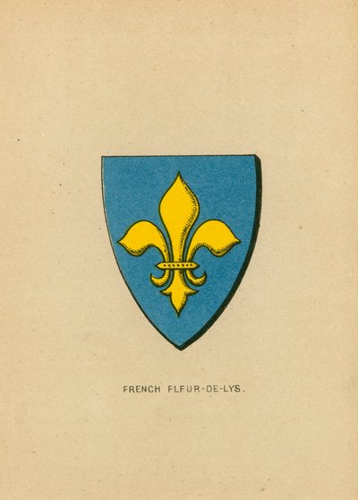 Französische Lilie von English School