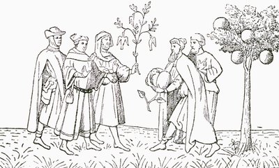 Bruder Oderic von Pordenone hält einen Ast von einem Baum, auf dem Vögel wachsen, gezeigt vom örtlichen König, der Lammbaum von Tartary, zeigt ein Lamm, das herauskommt, Illustration aus The Strand Magazine von English School