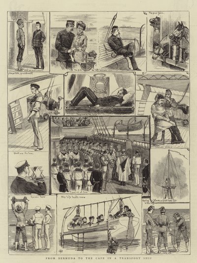 Von Bermuda zum Kap in einem Transportschiff von English School