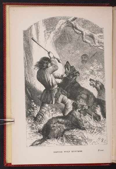 Frontispiz aus The British Wolf-Hunters. Eine Geschichte, etc., von Thomas Miller von English School