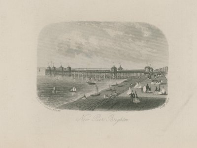Gesamtansicht des neuen Piers in Brighton von English School