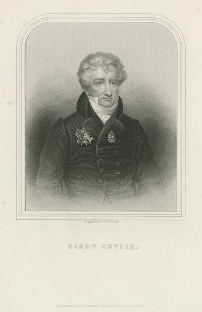 Georges Cuvier, französischer Naturforscher und Zoologe (Stich) von English School