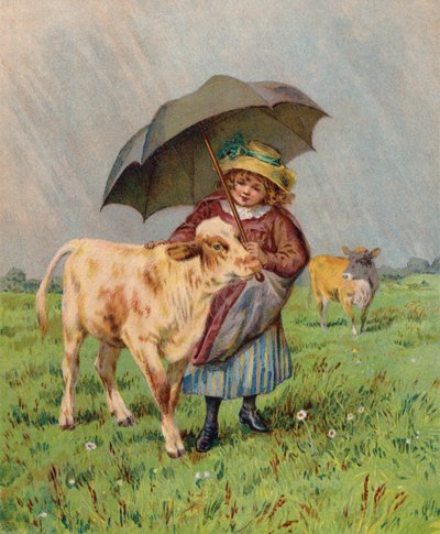 Mädchen schützt ein Kalb vor dem Regen von English School