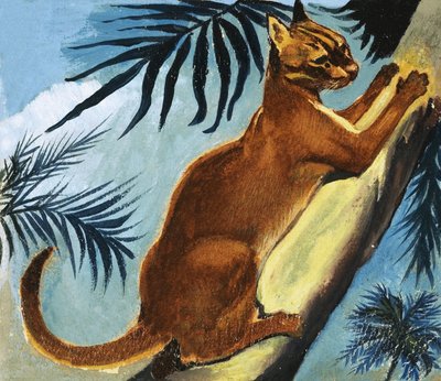 Goldene Katze von English School
