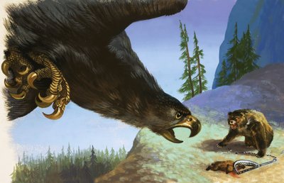 Steinadler greift Bär wegen Tier in Falle an von English School