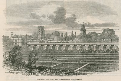 Hackney Station und Wasserkresseplantage, London von English School