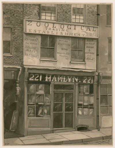 Hamlyns Zoological Trading, 221 St Georges Street, London Docks von English School