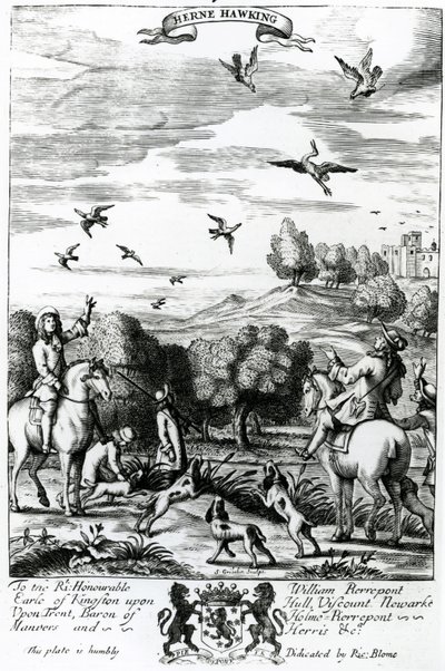 Herne beim Beizjagen, aus 