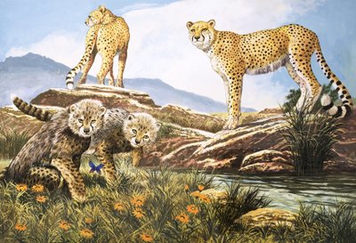 Hochgeschwindigkeitsjäger, Der Gepard, Illustration aus 
