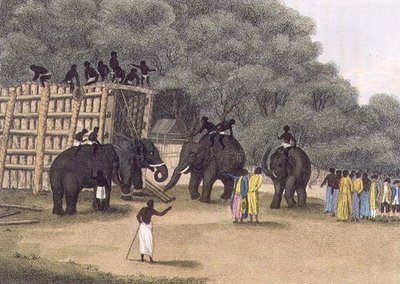 Hindoo Elefantenfalle, veröffentlicht von Edward Orme von English School