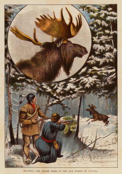 Elchjagd im hohen Norden Kanadas von English School