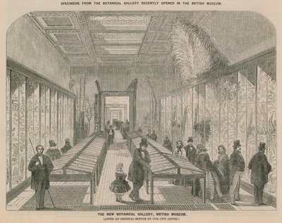 Innenansicht der neuen Botanischen Galerie von English School
